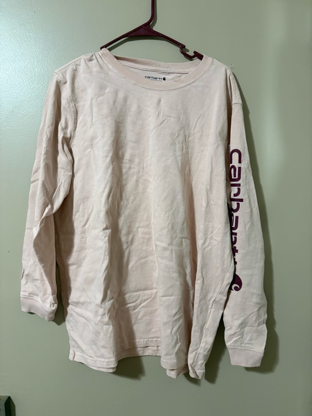 Carhartt Womens Long-Sleeve Graphic Tee in Light Pink